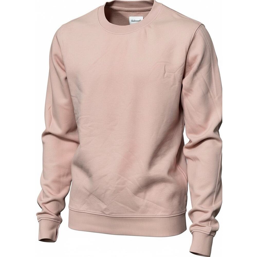 NWT! Men's Pink French‎ Terry Crewneck Pullover Sweatshirt Medium-Goodfellow &Co